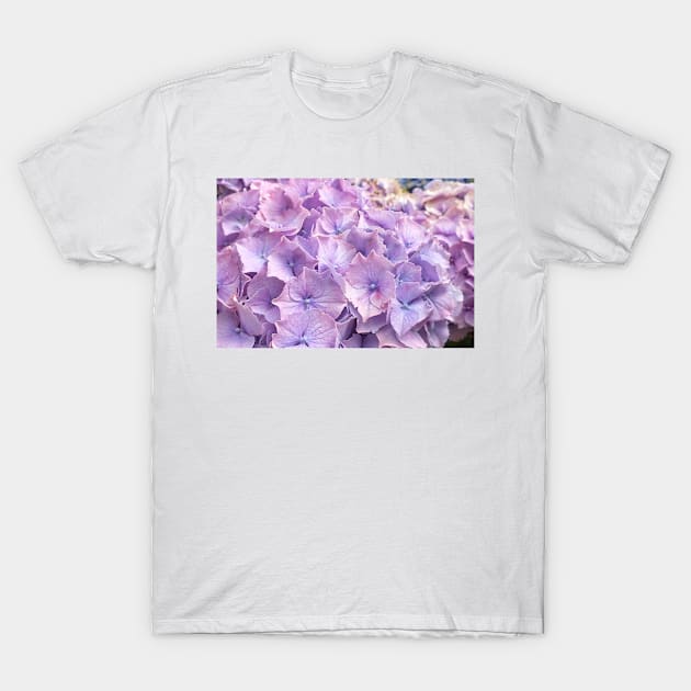 Hydrangea Petals T-Shirt by Ludwig Wagner